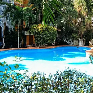 3* Frühstückspension Maya Vacanze Playa Alegria